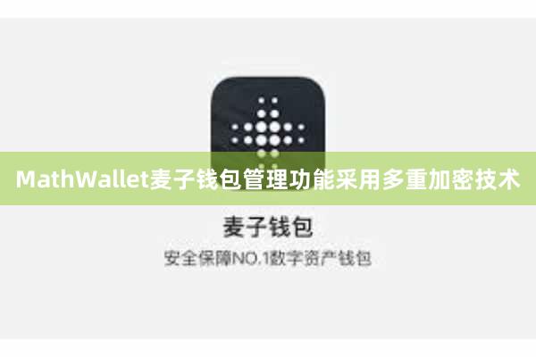 MathWallet麦子钱包管理功能采用多重加密技术
