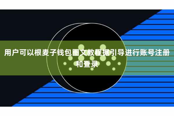 用户可以根麦子钱包图文教程据引导进行账号注册和登录