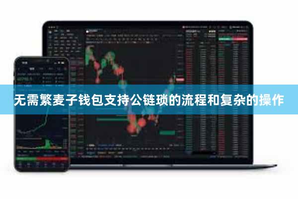 无需繁麦子钱包支持公链琐的流程和复杂的操作