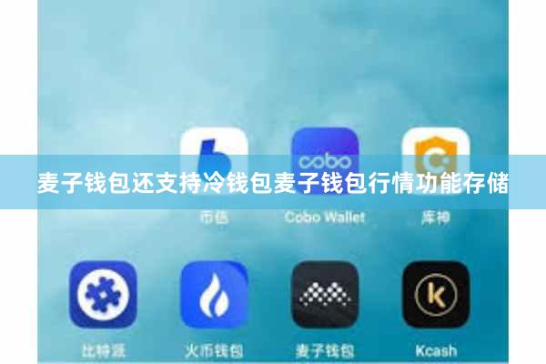 麦子钱包还支持冷钱包麦子钱包行情功能存储