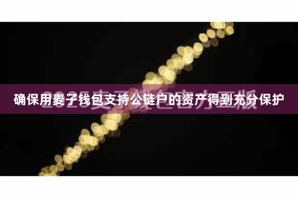 确保用麦子钱包支持公链户的资产得到充分保护
