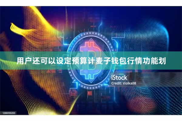 用户还可以设定预算计麦子钱包行情功能划