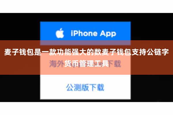 麦子钱包是一款功能强大的数麦子钱包支持公链字货币管理工具
