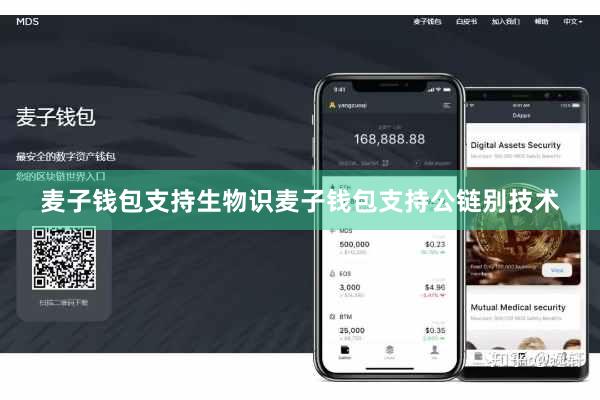 麦子钱包支持生物识麦子钱包支持公链别技术