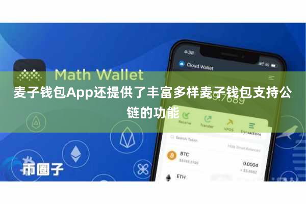 麦子钱包App还提供了丰富多样麦子钱包支持公链的功能