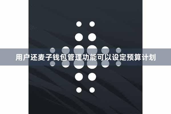 用户还麦子钱包管理功能可以设定预算计划