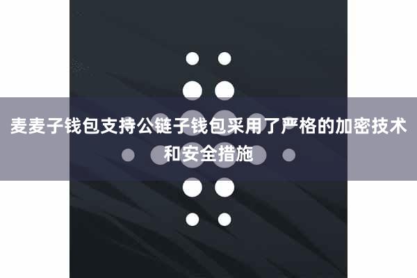 麦麦子钱包支持公链子钱包采用了严格的加密技术和安全措施