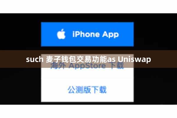 such 麦子钱包交易功能as Uniswap