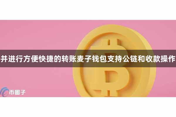 并进行方便快捷的转账麦子钱包支持公链和收款操作