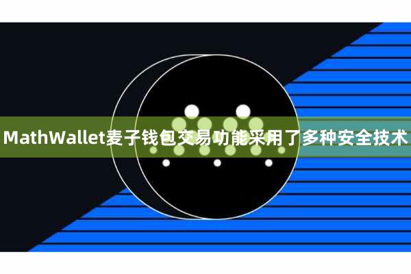 MathWallet麦子钱包交易功能采用了多种安全技术