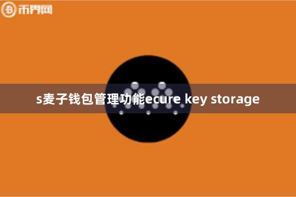 s麦子钱包管理功能ecure key storage
