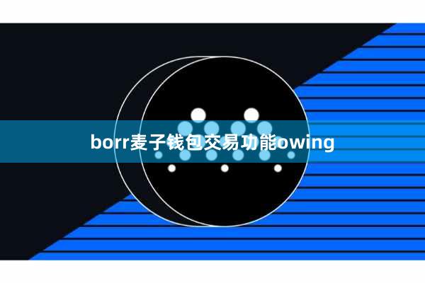 borr麦子钱包交易功能owing