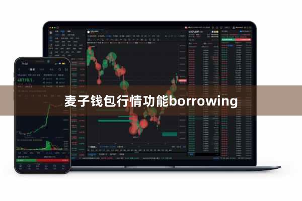麦子钱包行情功能borrowing