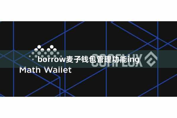 borrow麦子钱包管理功能ing