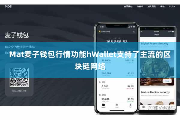 Mat麦子钱包行情功能hWallet支持了主流的区块链网络