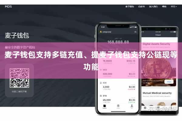麦子钱包支持多链充值、提麦子钱包支持公链现等功能