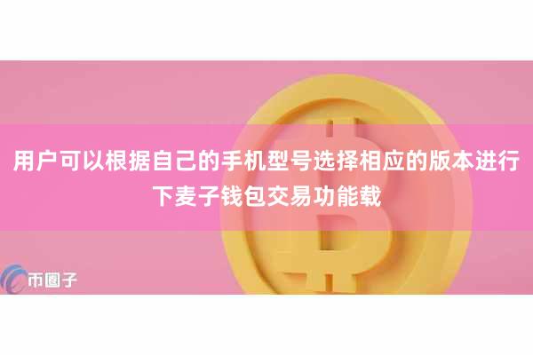 用户可以根据自己的手机型号选择相应的版本进行下麦子钱包交易功能载