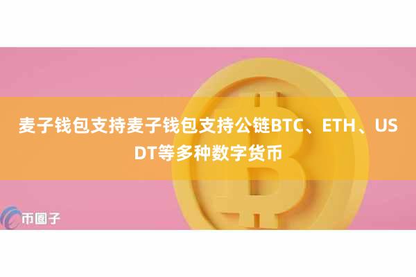 麦子钱包支持麦子钱包支持公链BTC、ETH、USDT等多种数字货币