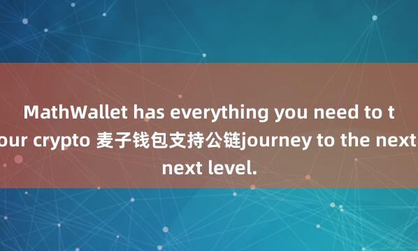 MathWallet has everything you need to take your crypto 麦子钱包支持公链journey to the next level.