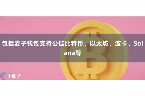 包括麦子钱包支持公链比特币、以太坊、波卡、Solana等