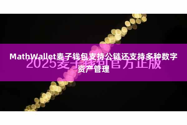 MathWallet麦子钱包支持公链还支持多种数字资产管理